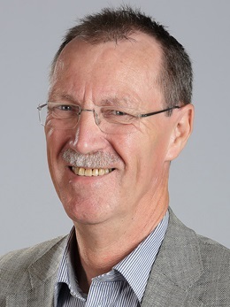 Portrait of Editorial Board member Godefridus J.  Peters 